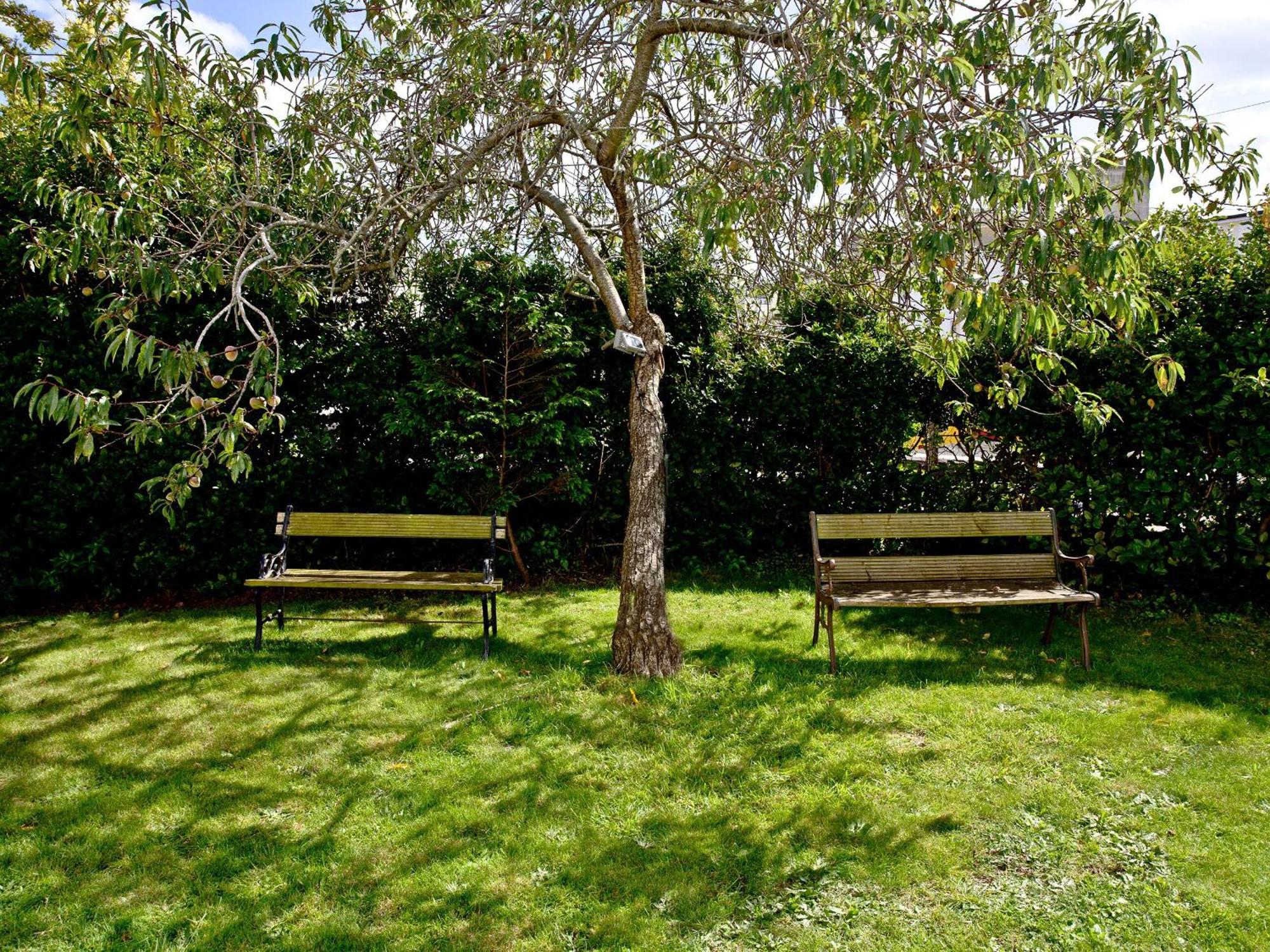 Devon Villa Garden Apartment ทอร์คิ ภายนอก รูปภาพ